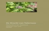 Valerian Herbs & Life - KruidenLeven€¦ · geneeskunde. Als men spreekt over valeriaan wordt in de meeste gevallen de wortel van Valeriana officinalis L. bedoeld. In oude verhandelingen