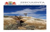 ZEECULENTA 2016-09.pdf · "Zeeculenta" is het afdelingsnieuws van de afdeling Zeeland van de Nederlands-Belgische Vereniging van liefhebbers van cactussen en andere vetplanten, SUCCULENTA.