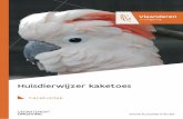 New Huisdierwijzer kaketoes · 2019. 5. 11. · (Cacatua galerita) en witkuifkaketoe (Cacatua alba). De valkparkiet (Nymphicus hollandicus) is in tegenstelling tot wat zijn naam doet