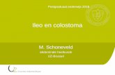 Ileo en colostoma - Bast · Colostoma bij 47 jarige met stenoserende rectum tumor . 4 titel 10/28/2010 Soorten stoma Permanent/Tijdelijk Colostoma Loop colostoma Eindstandig colostoma