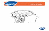 Afdelings- brochure Neurologie · 2020. 8. 6. · Secretariaat neurologie: tel. 053/72 45 19 D i s c l a i m e r De informatie in deze brochure is van algemene aard en is bedoeld