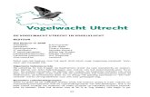 DE VOGELWACHT UTRECHT IN VOGELVLUCHTvogelwacht-utrecht.nl/wp-content/uploads/2013/02/Vogelv...Op zaterdag 16 mei kregen de deelnemers onder de zeer bezielende en deskun-dige leiding