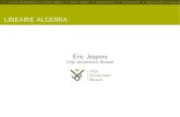 LINEAIRE ALGEBRA Eric Jespershomepages.ulb.ac.be/~efjesper/coursenotes1.pdf · 2013. 9. 23. · 1. Lineaire Vergelijkingen in Lineaire Algebra2. Matrix Algebra3. Determinanten4. Vectorruimten5.