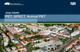 Jorge Cabello PET, SPECT, Animal PET · Jorge Cabello. Technische Universität München Nuklearmedizinische Klinik und Poliklinik Klinikum rechts der Isar