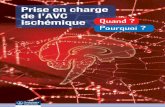 Prise en charge de l’AVC · 2013. 1. 31. · L’accident vasculaire cérébral (AVC) touche 100 000 à 145 000 personnes en France chaque année (soit un AVC toutes les 4 minutes