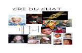 Annelies Nooij-scriptie over cri du chat - ZeldSamen ... Het cri-du-chat syndroom is een chromosoomafwijking