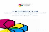 VADEMECUM - Spectrumcollege · 2020. 6. 23. · vademecum. De meest recente versie is daarom digitaal beschikbaar op de website van de school. . 9 Het schoolreglement Ons schoolreglement