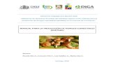 MANUAL PARA LA PRODUCCIÓN DE HONGOS COMESTIBLES …biomicel.com/Interes/Tecnologia/46.pdf · 2016. 7. 28. · producción de hongos comestibles (Shiitake) en la comuna de La Pintana”