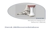 Statusrapport Marts 2019 Dansk Akillessenedatabase...Silbernagel KG, Steele R, Manal K. Deficits in heel-rise height and achilles tendon elongation occur in patients recovering from
