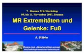 MR Extremit MR Extremitäten und ten und Gelenke: FuGelenke: … · 2018. 8. 14. · 7 . Bremer MR-Workshop 09. bis 11. November 2007, Bremen MR Extremitäten und Gelenke: Fuß 7