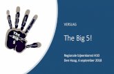 VERSLAG The Big 5! - JONG doet mee! – Wij denken mee, praten … · 2018. 10. 10. · Uitwisseling van diverse initiatieven en afstemming van plannen. 4. Vervolgbijeenkomst om instellingen
