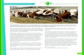 SmartDairyFarming werkt - Dairycampus...Het SDF-concept onderscheidt zich van ondersteun-de managementsystemen die er al zijn. Dat komt door een unieke bundeling van informatiestromen