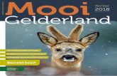 Mooi - GLK · 2018. 12. 7. · 2 Mooi Gelderland – Winter 2018 – Geldersch Landschap & Kasteelen Het weer heeft ons dit jaar laten zien welke veranderingen gaande zijn. Een heftige