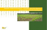 Maïs bemesten: oude principes, nieuwe technieken · 2016. 11. 17. · 0+0,05B+0,05Zn+1,5% Humifirst toonden zich het meest productief met droge stofopbrengsten van respectievelijk