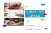 CAO PO 2006-2008 · 4 Colofon CAO PO 2013 Collectieve Arbeidsvoorwaarden voor het Primair Onderwijs Uitgave PO-Raad Utrecht, januari/februari 2013 Vormgeving omslag en binnenwerk: