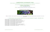 KWEKERIJ STERKEN JAN · 2019. 1. 9. · AANBOD HORTENSIA'S Hier vindt u een kort overzicht van de meest bekende Hortensia soorten en ons aanbod: 1. Hydrangea macrophylla: Bolhortensia
