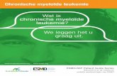 Wat is chronische myeloïde leukemieCML: gids voor patiënten – Gebaseerd op de ESMO‐richtlijnen - v.2013.1 Pagina 1 Dit document werd opgesteld door Het Antikankerfonds met de