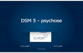DSM 5 - psychose · 2018. 2. 14. · E Uitsluiting van het gebruik van middelen of een somatische aandoening. F Samenhang met een pervasieve ontwikkelingsstoornis. Indien in voorgeschiedenis