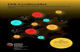 ERN-EuroBloodNet and... · 2019. 8. 27. · ERN-EuroBloodNet lopende projecten Tijdens ERN-EuroBloodNet, het tweede jaar van implementatie, werd een nieuwe strategische structuur