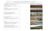 Vegetatie en klimaatzonen in Europa - Portfolio aardrijkskundeaaportfolioarnewagemans.weebly.com/uploads/4/0/2/3/... · 2018. 10. 17. · Vegetatie en klimaatzonen in Europa 1. Natuurlandschappen
