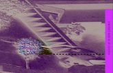 VEGETATIE OP EN ROND GEBOUWEN - Monumentenwacht · 2019. 1. 29. · vegetatie voor, waaronder vocht-minnende mossen, zoals paraplu-tjesmos en diverse slaapmossen. Hetzelfde doet zich