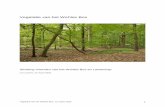 Vegetatie van het Wehlse Bos · 2020. 3. 17. · Vegetatie van het Wehlse Bos, 12 maart 2020 6 parkbossen rond de nederzettingen. Ook de soortensamenstelling van de bossen wijzigt