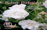 Rosa Belgica - Roses Nouvelles du Roeulx · 2020. 11. 24. · SOCIÉTÉ ROYALE NATIONALE ”LES AMIS DE LA ROSE” KONINKLIJKE NATIONALE MAATSCHAPPIJ ”DE VRIENDEN VAN DE ROOS”