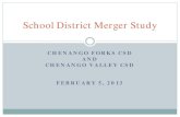 School District Merger Study - Chenango Forks · CHENANGO FORKS CSD . AND . CHENANGO VALLEY CSD . FEBRUARY 5, 2013 . School District Merger Study