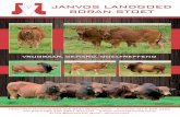 MIDDELVELD BULVEILING - Boran cattle · 2019. 2. 22. · 028-5221-764 - 082-7000-913 clivet007@gmail.com RIETKUIL CVT SUURBRAAK DROSTDY BORANE P/A MNR C.F. CRAFFORD, POSBUS 172, SWELLENDAM,