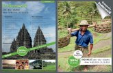 groepsreis Indonesië - Omegareizen · 2019. 1. 7. · Yogyakarta Dag 12: Volledige dag city tour. Na het ontbijt vertrek naar Borobudur: de grootste boeddhistische tempel uit de