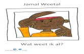 Wat weet ik al? · PDF file 2020. 3. 9. · Jamal Weetal Wat weet ik al? Floor stelt het zich voor Wat stel ik me daarbij voor? Isabel Voorspel Wat kan er gebeuren? Rob Stop Stop!