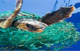 plastics TOC. Verstrikte schildpad door Francis Perez de zee...Kunststoffen zijn polymeren (uit het Grieks: “poly” is veel en “meros” is deel.) Het zijn moleculen die bestaan