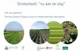 Strokenteelt: “nu aan de slag” - Future Food Production€¦ · Nederlandse landbouw: groene woestijnen bonen fruit bloemen ui overig biet graan aardappel maize 0 5 10 15 55%