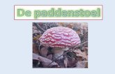 Op een grote paddenstoel vol met paddenstoelen_ppt.pdf · De paddenstoelen worden in 3 soorten verdeeld: 1. De plaatjeszwam 2. De buisjeszwam 3. De stuifzwam. De heksenkring!! De