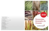 Stauden 2018 Gesamt - Floralandflora-land.ro/floraland/wp-content/uploads/2018/06/... · 2018. 6. 12. · Perennials In vitro .....15-18 Aromatics ... Heuchera Imperata Lavandula