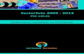Sectorfoto 2009 - 2013 - Volta Org · 2017. 5. 9. · 6 sectorfoto, 2009-2013 I. BEDRIJVEN EN ARBEIDERS VAN PSC 149.01: OVERZICHT Tijdens het eerste kwartaal van 2013 registreerden