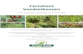 Factsheet Voedselbossen...0,5 hectare in een ecologisch rijke omgeving; in een ernstig verarmde omgeving is een minimale oppervlakte tot 20 hectare vereist.” Bron: Green Deal voedselbossen,
