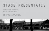 STAGE PRESENTATIE - ANTOINETTEVANBEERS · 2013. 3. 18. · stage presentatie gymnasium bernrode, heeswijk-dinther antoinette van beers 07-01-2013/07-03-2013