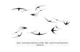 DE GIERZWALUW IN OISTERWIJK 2011 · 2013. 4. 14. · 1.7 Afsluiting inventarisatie in Standdaarbuiten 37 . 2 Projecten ‘Realisatie nieuwe nestgelegenheid’ 2.1 Nieuwe nestplaatsen