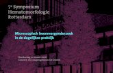 7 Symposium Hematomorfologie Rotterdam Symposium...13.30 uur Van A(ap) tot Z(ebra); bloedonderzoek in de dierentuin, Willem-Jan Kitslaar 14.15 uur De relatie tussen Burkitt en MYC;