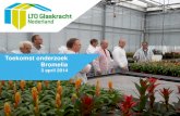 Toekomst onderzoek Bromelia - Glastuinbouw Nederland · 2018. 8. 14. · Bromelia 3 april 2014 . Overzicht onderzoek Afgerond Grip op licht Meer rendement uit CO2 en licht Optimalisering