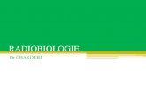 RADIOBIOLOGIEuniv.ency-education.com › uploads › 1 › ...radiobiologie.pdf•C’est un phénomène fondamentale en radiobiologie, •L’O2 augmente l’effets des rayonnements