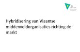 Hybridisering van Vlaamse middenveldorganisaties richting de … · 2019. 7. 5. · Prestaties meten (gemiddelde scores) • Het meten van prestaties komt meer voor in de sociale