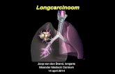Longcarcinoom - Oncowijs mamma/2014...Sterfte in 2010 naar ICD hoofdgroep Bron: CBS Sterfte naar afzonderlijke doodsoorzaken 2010 on 70 Year ONCOLOGY Epidemiology Adapted from Greenlee