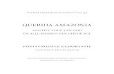 QUERIDA AMAZONIA - Kerknet 43 Querida... · 2020. 6. 30. · Vervolgens klinkt door heel Querida Amazonia een ‘sense of urgency’. Het is vijf voor twaalf, zowel voor het ecologische