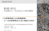 (SAR)による海洋観測 「小型飛翔体による海象観測」 データ …coso.isee.nagoya-u.ac.jp/Joint_Research/01_ichikawa/05...PALSAR-2 Contrast image 2014/10/25 14:17