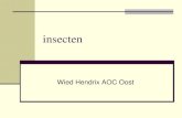 insecten - Wikiwijs · 2014. 4. 15. · Kenmerken van insecten lichaam bestaat uit drie delen: kop, borststuk en achterlijf. Altijd 3 paar poten (= hexapoda), 2 paar vleugels Opgebouwd
