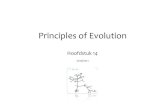 Principles of Evolution - Kennisbanksu › wp-content › uploads › 2017 › ...•korstmos groeit op boom= lichtgekleurde boomstam –eind 19 eeeuw •fabrieken = roet op bomen