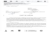 Baia Mare 2015/Caiet de sarcini … · Domeniul Major de Interventie 2.2. «Prevenirea corectarea päräsirii timpurii a cod SMIS 57948, beneficiar Municipiul Baia Mare, contract