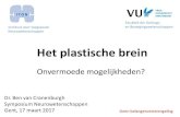 Het plastische brein - VWVJ · 2017. 3. 18. · Instituut voor toegepaste Neurowetenschappen Faculteit der Gedrags- en Bewegingswetenschappen Het plastische brein Onvermoede mogelijkheden?